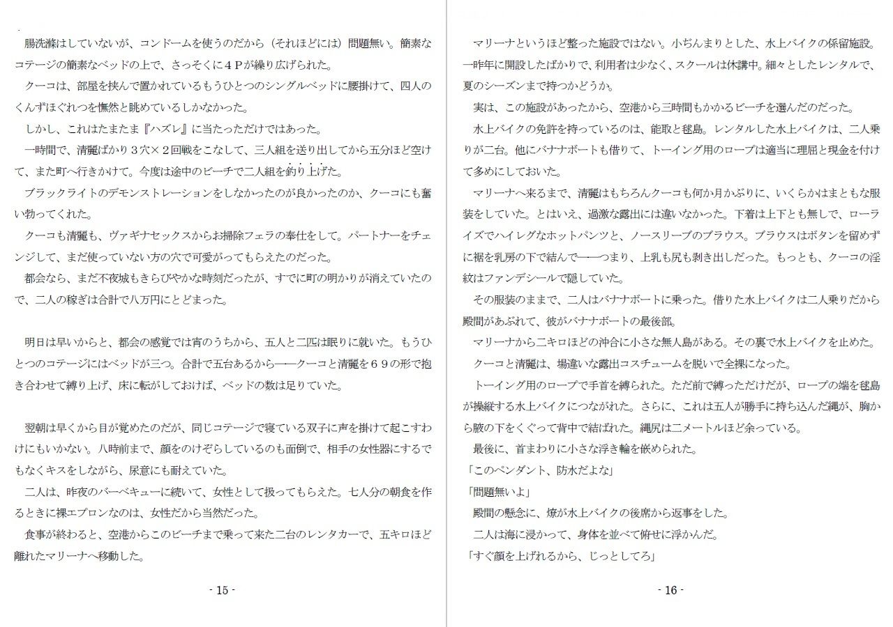 サンプル画像6:800万円のDVR:3惨虐搾取編(SMX工房) [d_607611]