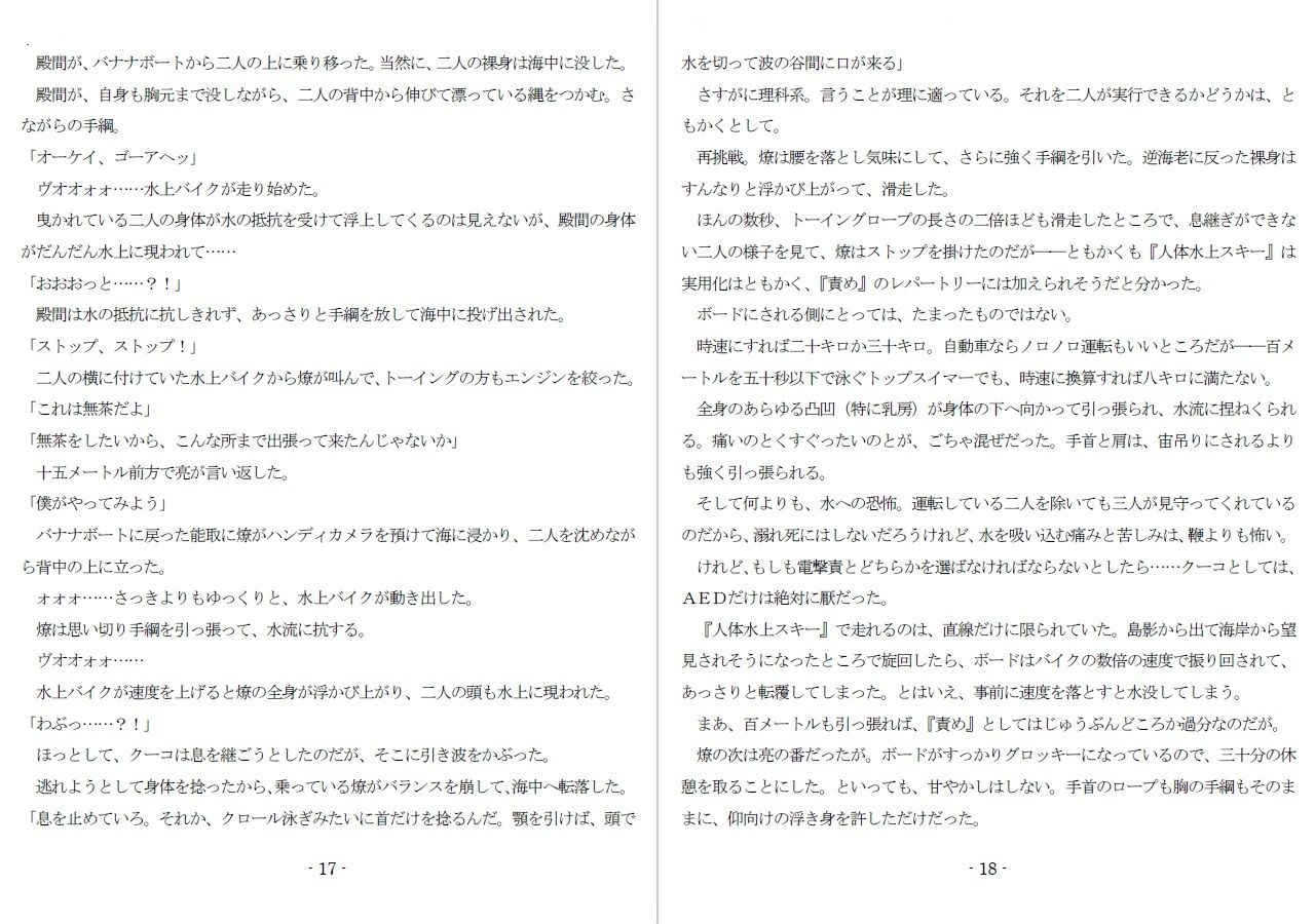 800万円のDVR:3惨虐搾取編 画像7