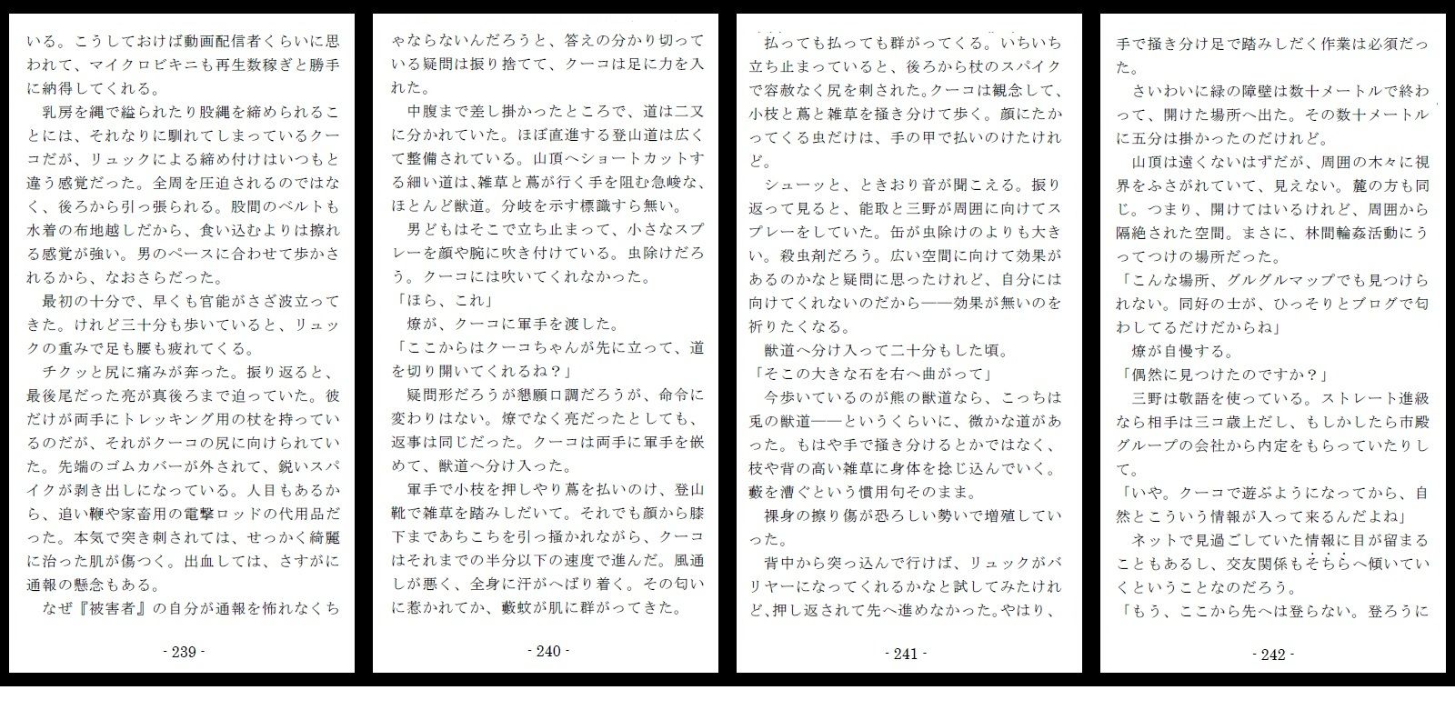 800万円のDVR:3惨虐搾取編 画像9