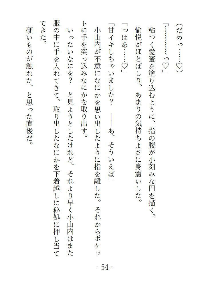 なにも知らない処女だったのに電車の中で気持ちいいことを教えられて完堕ちするまでの5日間 画像4
