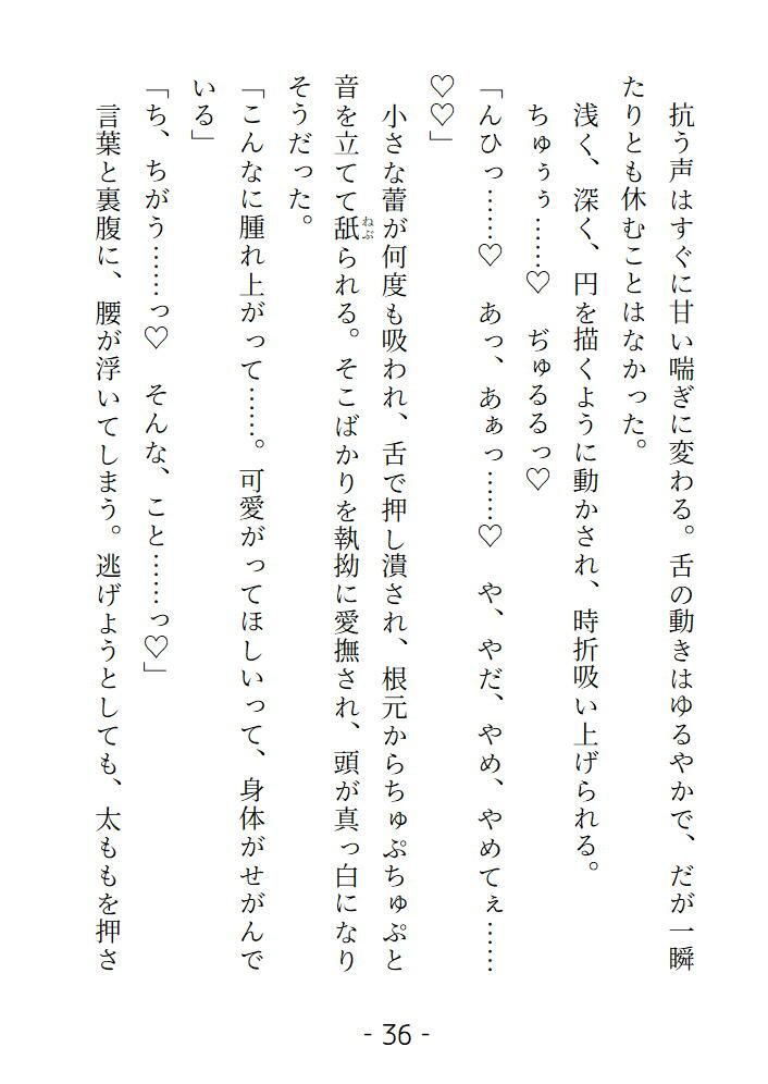 身代わり花嫁だけど全部バレていたようで魔王に甘く乱されました 画像5