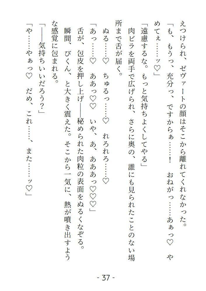 身代わり花嫁だけど全部バレていたようで魔王に甘く乱されました 画像6