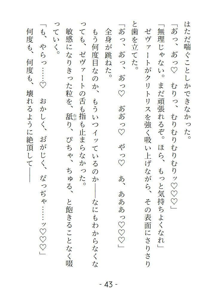 身代わり花嫁だけど全部バレていたようで魔王に甘く乱されました 画像7