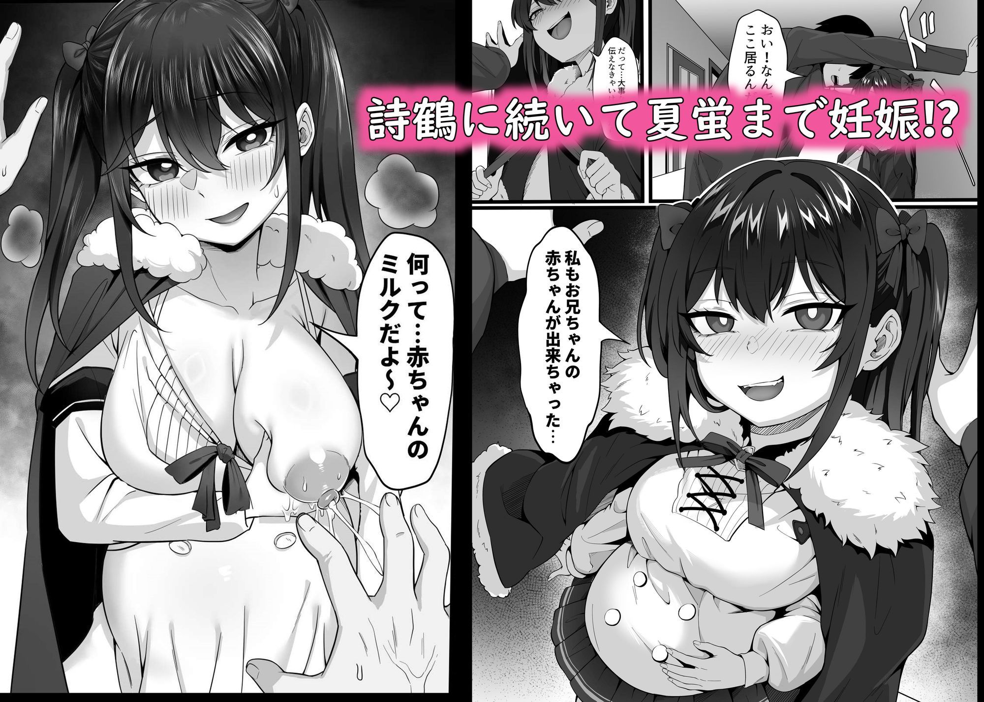 俺の上京性生活「マタニティ姉妹編」 画像1