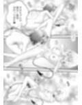あらぶる〜美女ビジョふたなり変態レズ〜