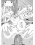 あらぶる〜美女ビジョふたなり双子レズ〜