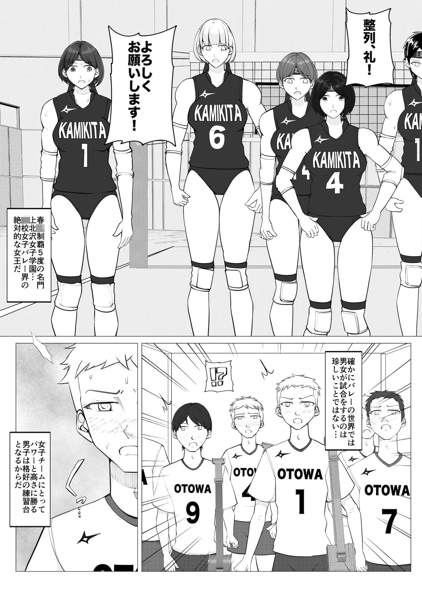 サンプル画像1:女子vs男子1バレーボール(ジュン) [d_611219]