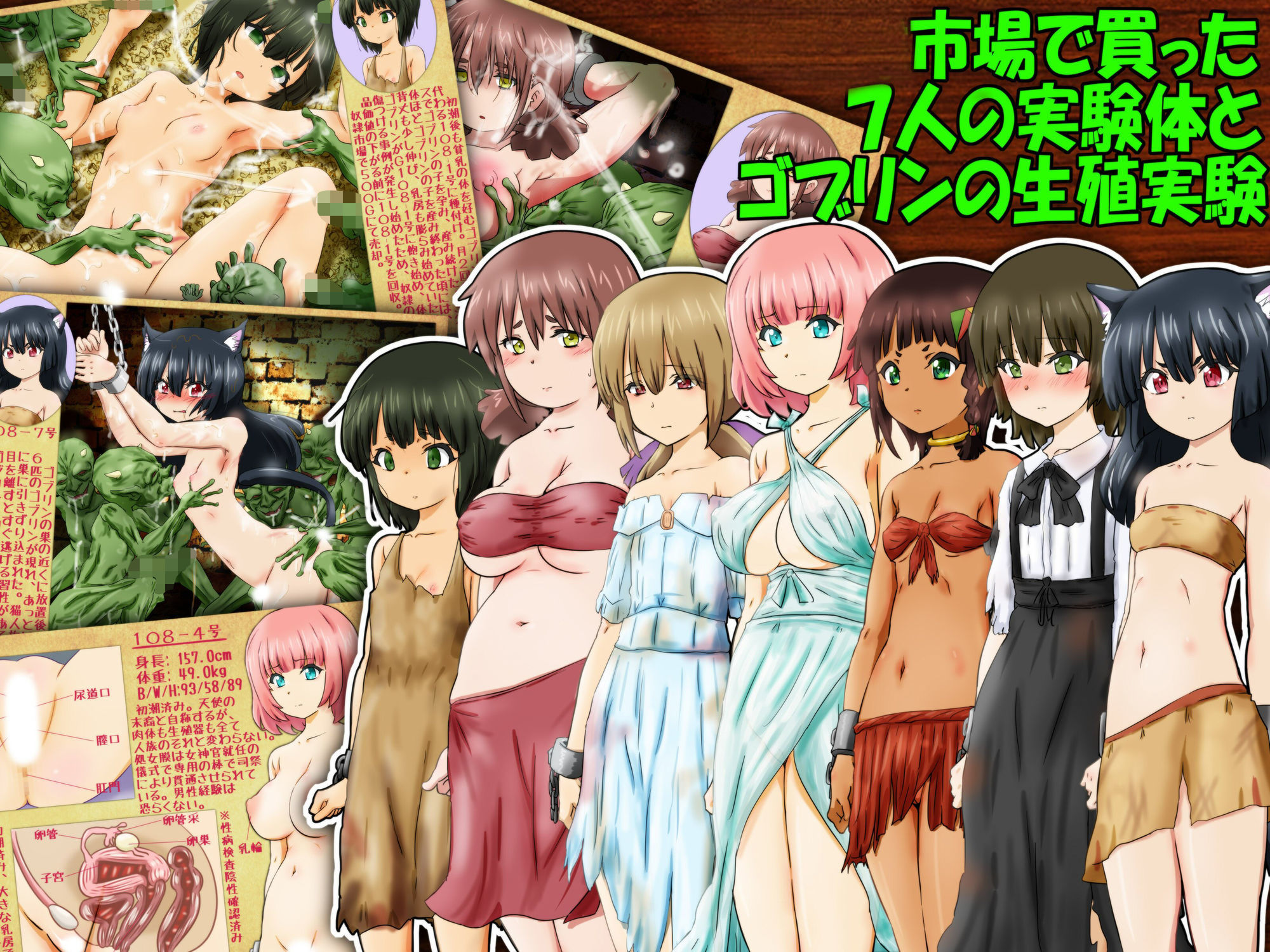 サンプル画像1:ゴブリン×異種族  生殖実験報告(ふぇちすぴ) [d_611632]