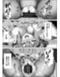 サンプル5