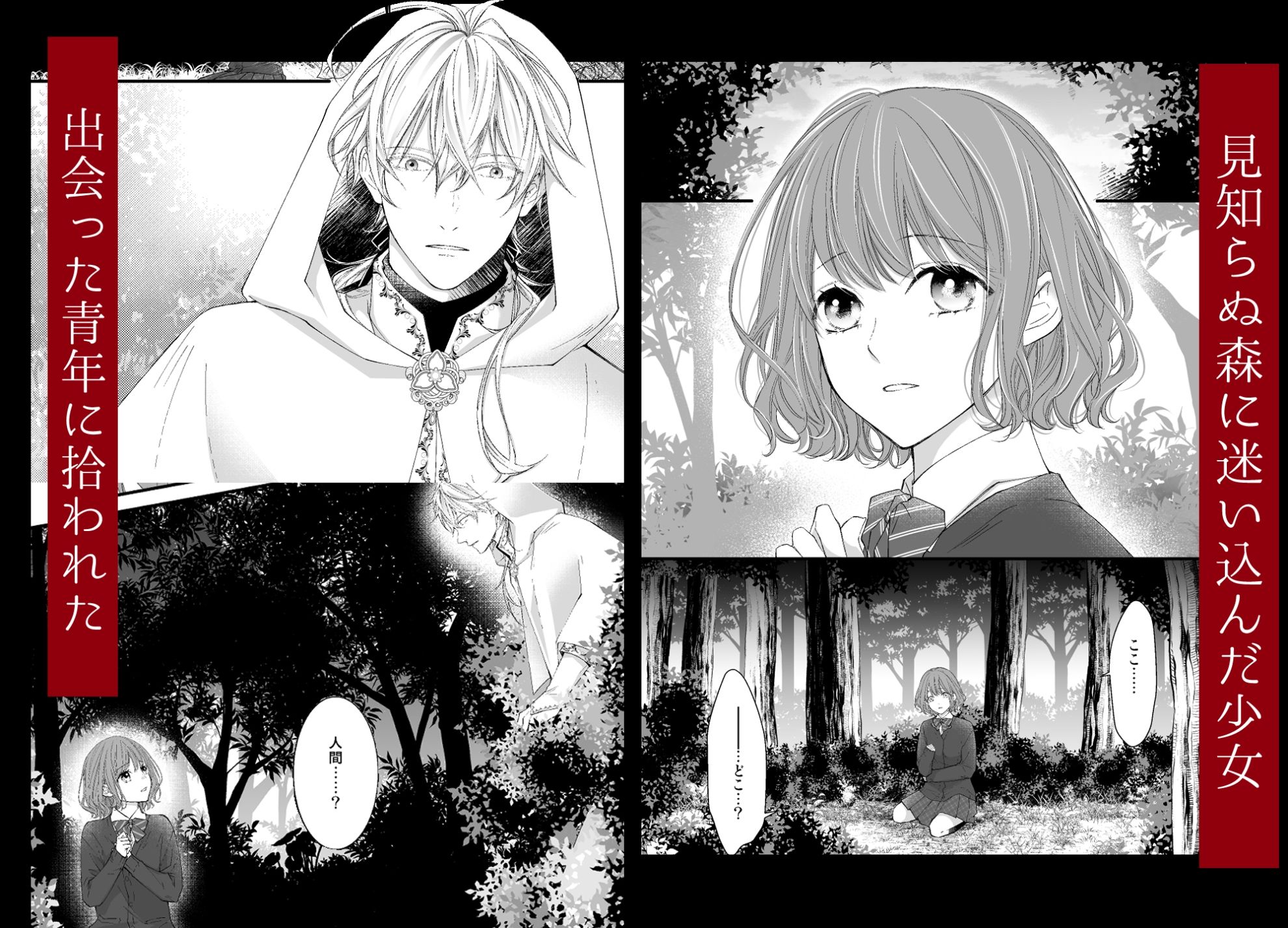 魔術師の鳥籠-フォレノワール- 画像2