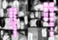 あらあら系大家さんで童貞喪失したいっ