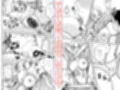 お代は身体で払うので！