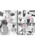 尻穴便女 【 総集編 過去作3本 】