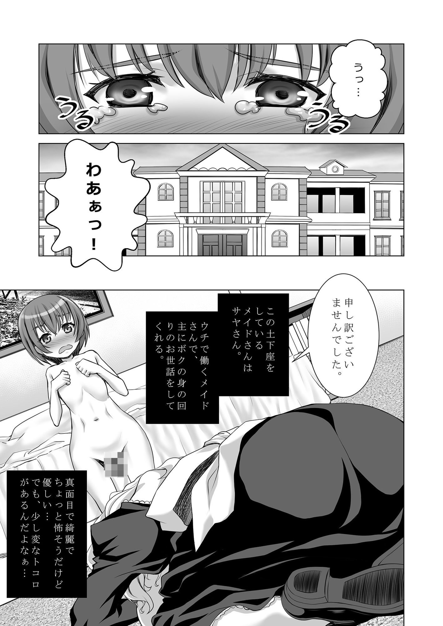 ウチのメイドさんはちょっと変_3