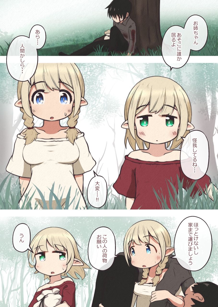 サンプル画像1:エルフの姉妹に助けられた冒険者が性奴●にされるお話(えちえち大福) [d_615260]