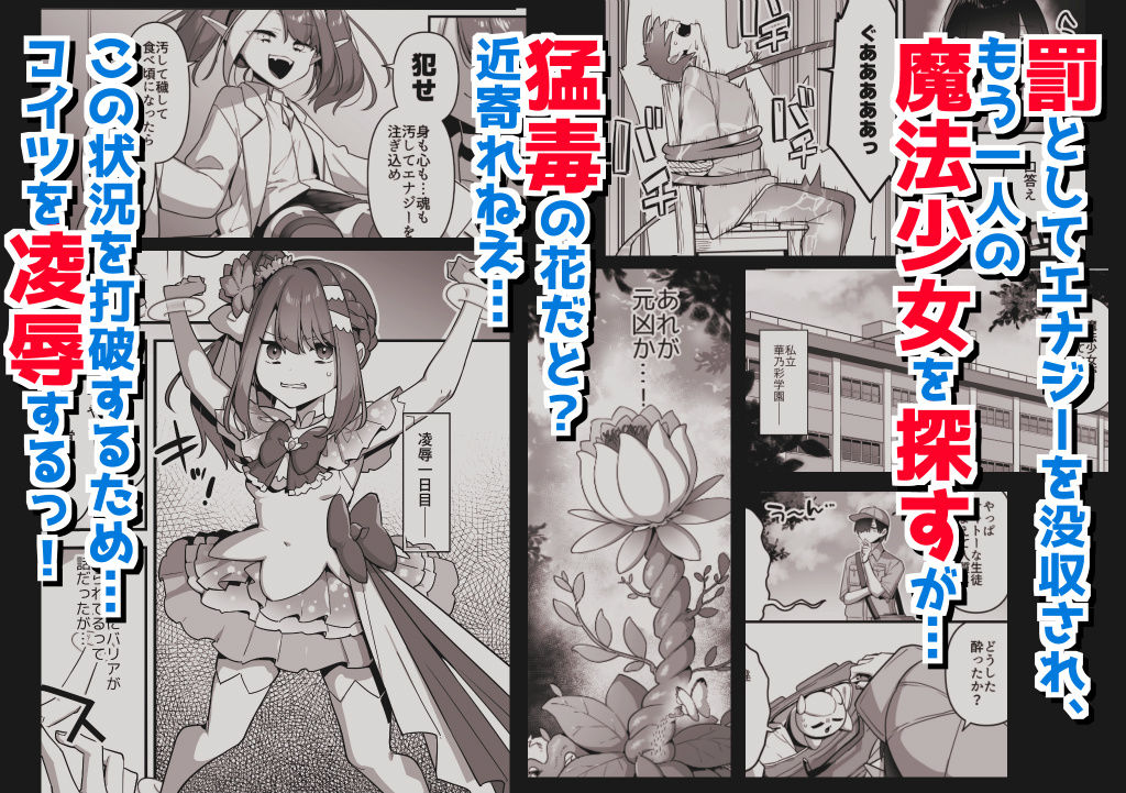 サンプル画像2:悪の手先になったので。〜魔法少女を凌●します〜3前編(うーらる) [d_616021]