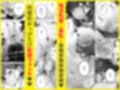 この店にはマン毛ギャルが働いてるらしい試し読み4ページ