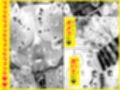 この店にはマン毛ギャルが働いてるらしい試し読み5ページ