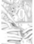 あらぶる〜激エロな殺し屋〜