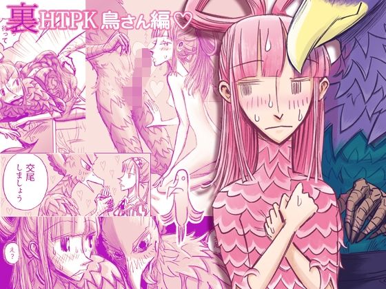 裏HTPK鳥編