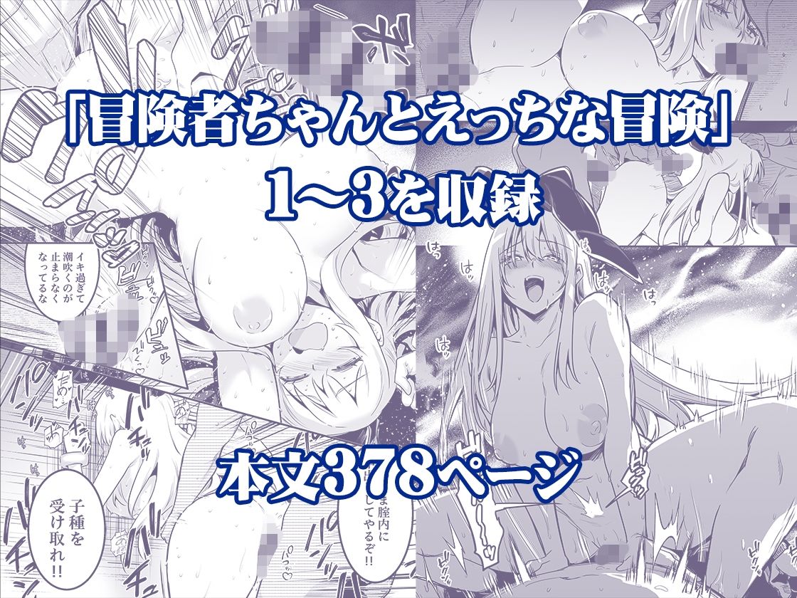 サンプル画像2:冒険者ちゃんとえっちな冒険 総集編(しぐれえび) [d_617678]