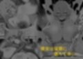 ネトラレウィッチ
