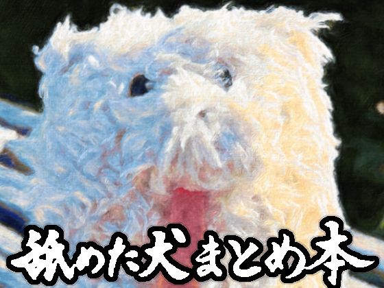 舐めた犬まとめ本【舐めた犬】