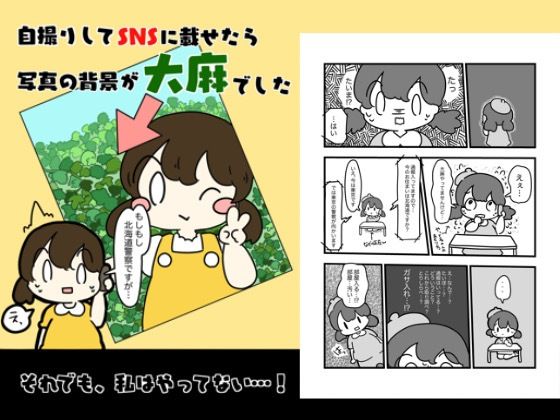 自撮りしてSNSにのせたら写真の背景大麻だった話