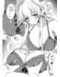 ブル〇カのえっちなまとめ本。