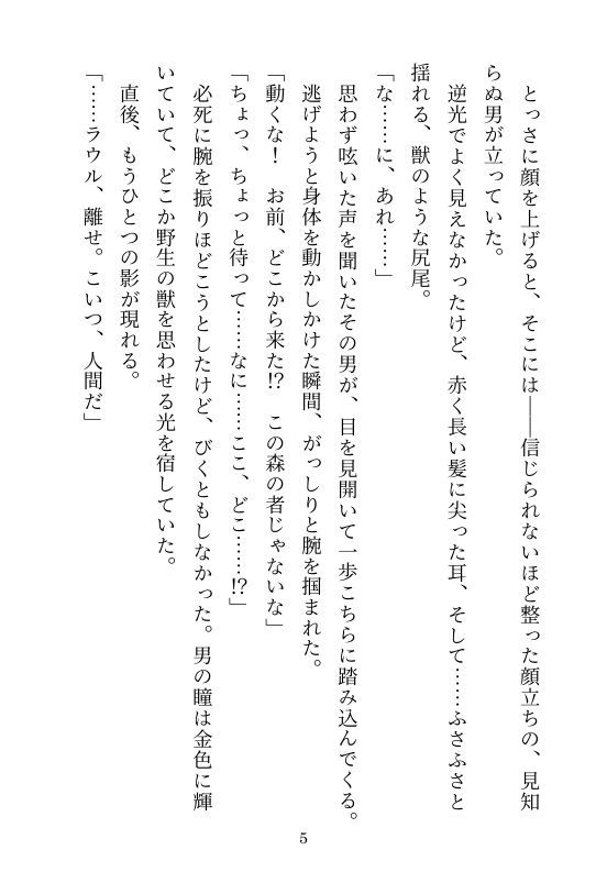 サンプル画像