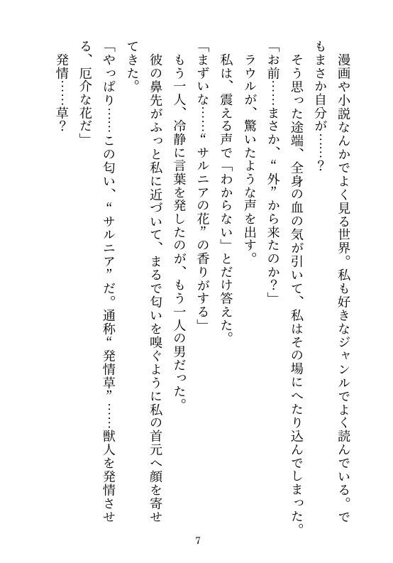 サンプル画像