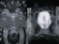 機動精子ジークセクス4寝たら起きないニャアンモノクロ版