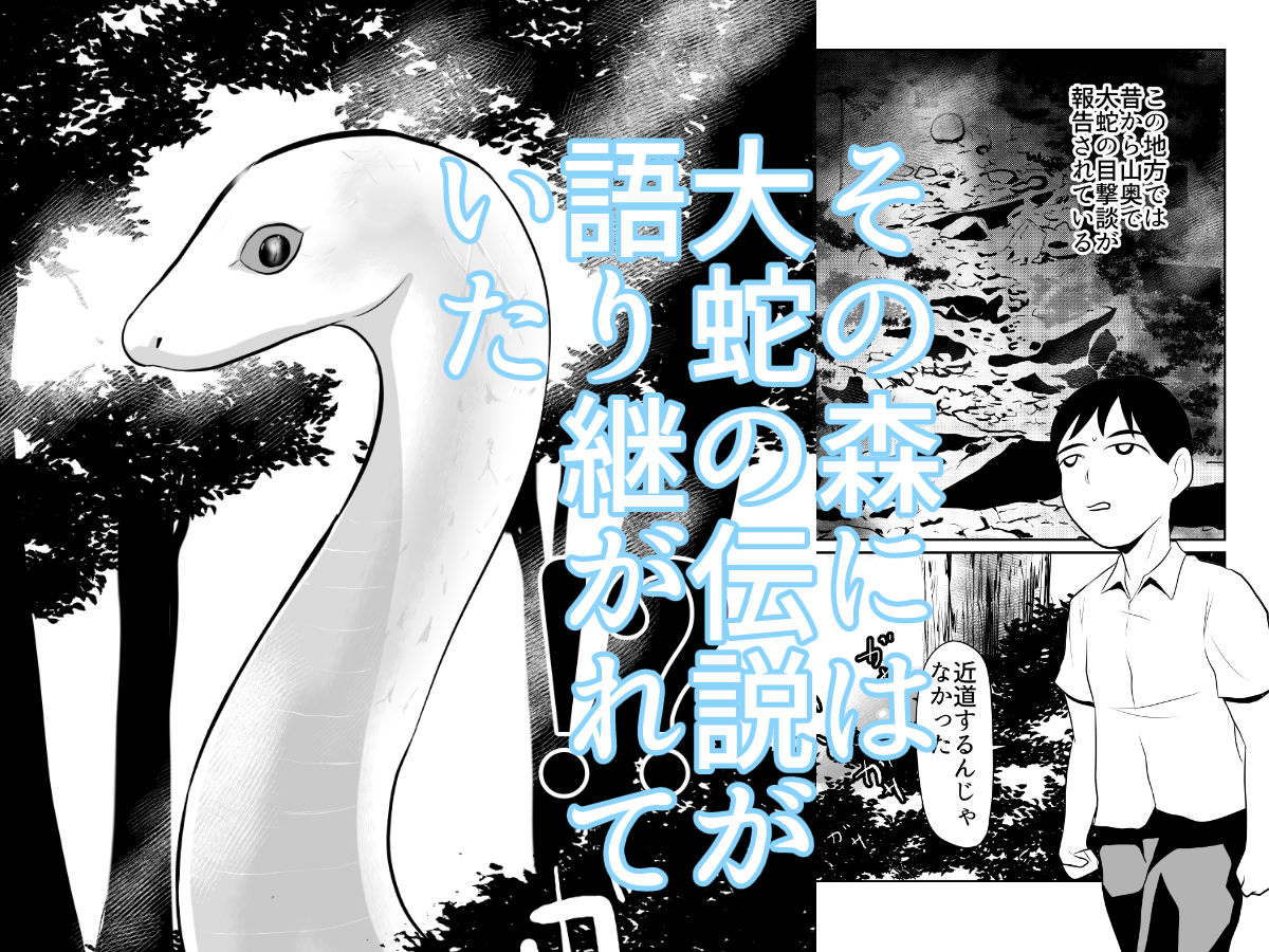 大蛇が出るという森 画像1