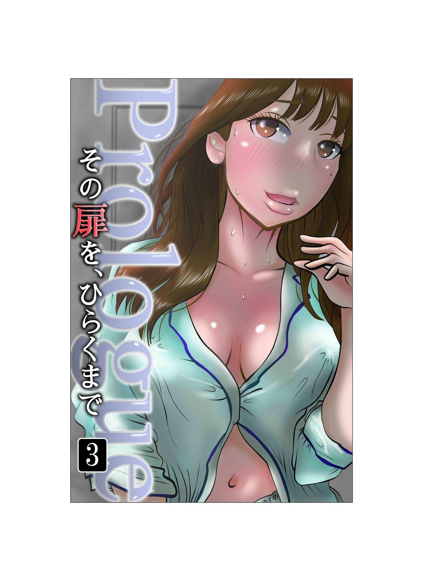 サンプル画像1:その扉をひらくまで  プロローグ3(NTRの世界) [d_625444]