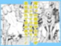 隣のギャルはエロい