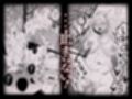 妻にモザイク3