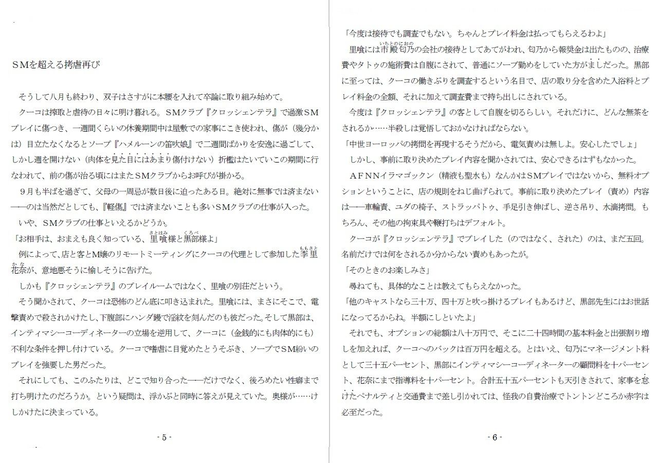 サンプル画像2:800万円のDVR:4弄辱処分編(SMX工房) [d_632109]