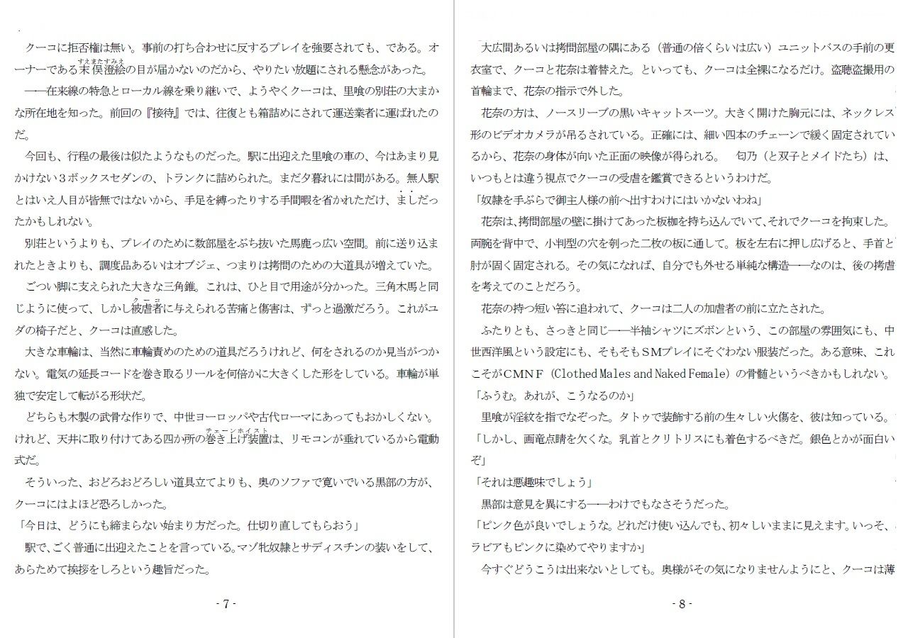 サンプル画像3:800万円のDVR:4弄辱処分編(SMX工房) [d_632109]