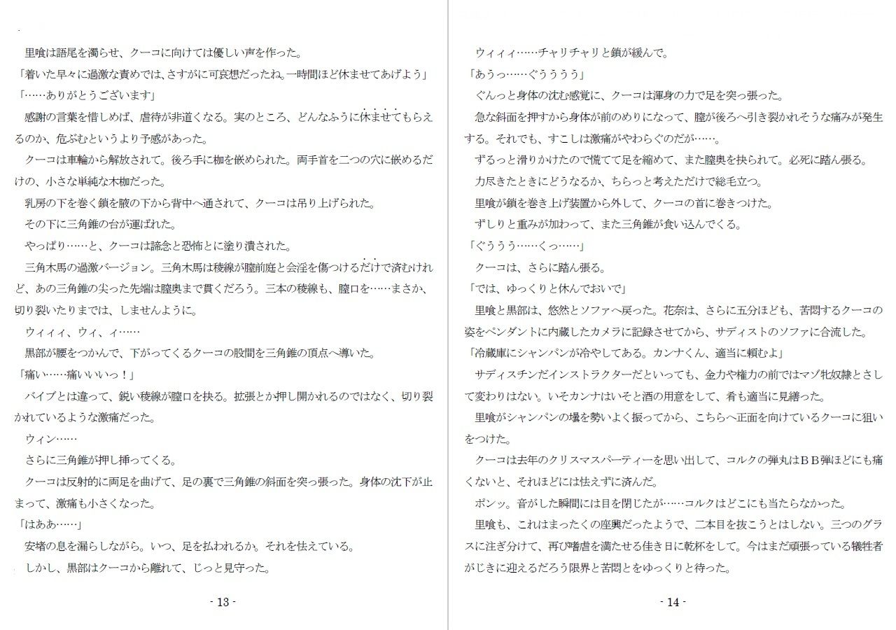 サンプル画像6:800万円のDVR:4弄辱処分編(SMX工房) [d_632109]