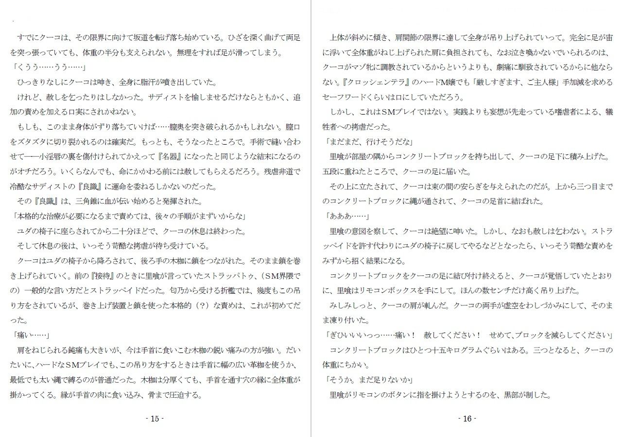 800万円のDVR:4弄辱処分編 画像7