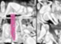 俺の上京性生活総集編【19-21】