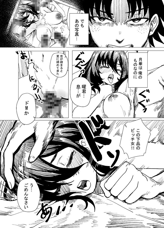 サンプル画像2:月華に出会えたことありますか(アーニー社(Anission)) [d_633705]