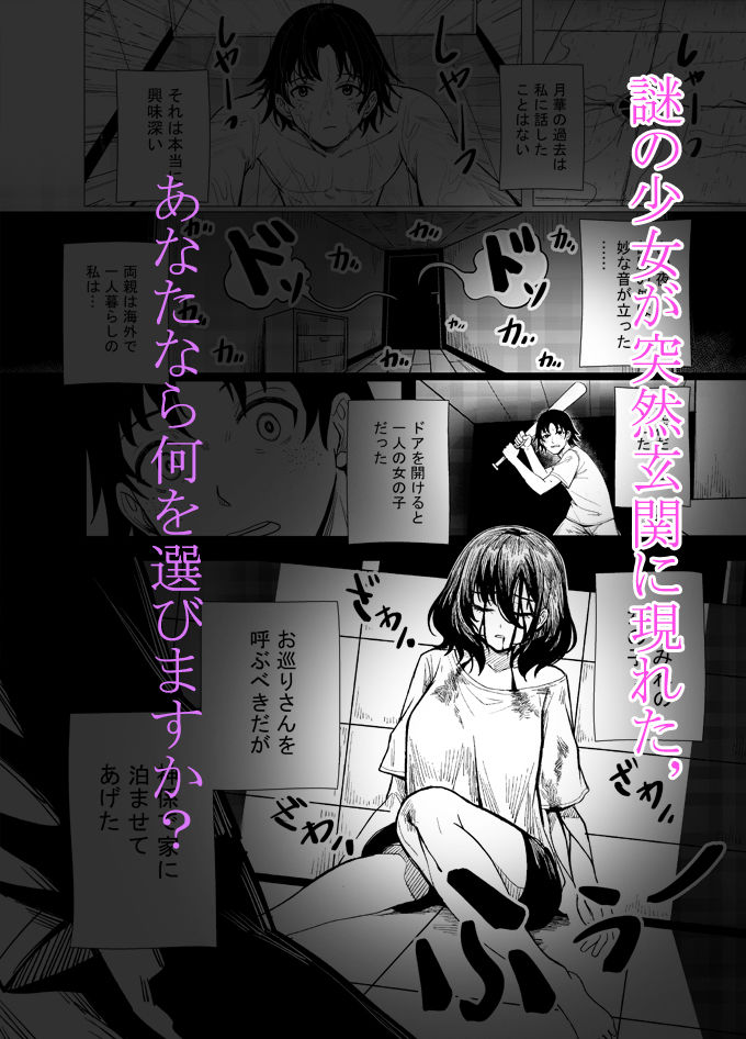 サンプル画像5:月華に出会えたことありますか(アーニー社(Anission)) [d_633705]