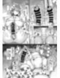 東方ふたなり牛柄合同