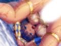 美女クレオパトラを誤召喚！魔法の秘薬で世界征服！？ 6巻