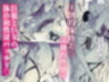 蛇神様に魅入られて