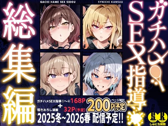 ガチハメSEX指導総集編の画像