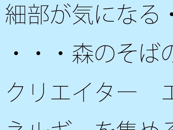 細部が気になる・・・・森のそばのクリエイター  エネルギーを集める工夫
