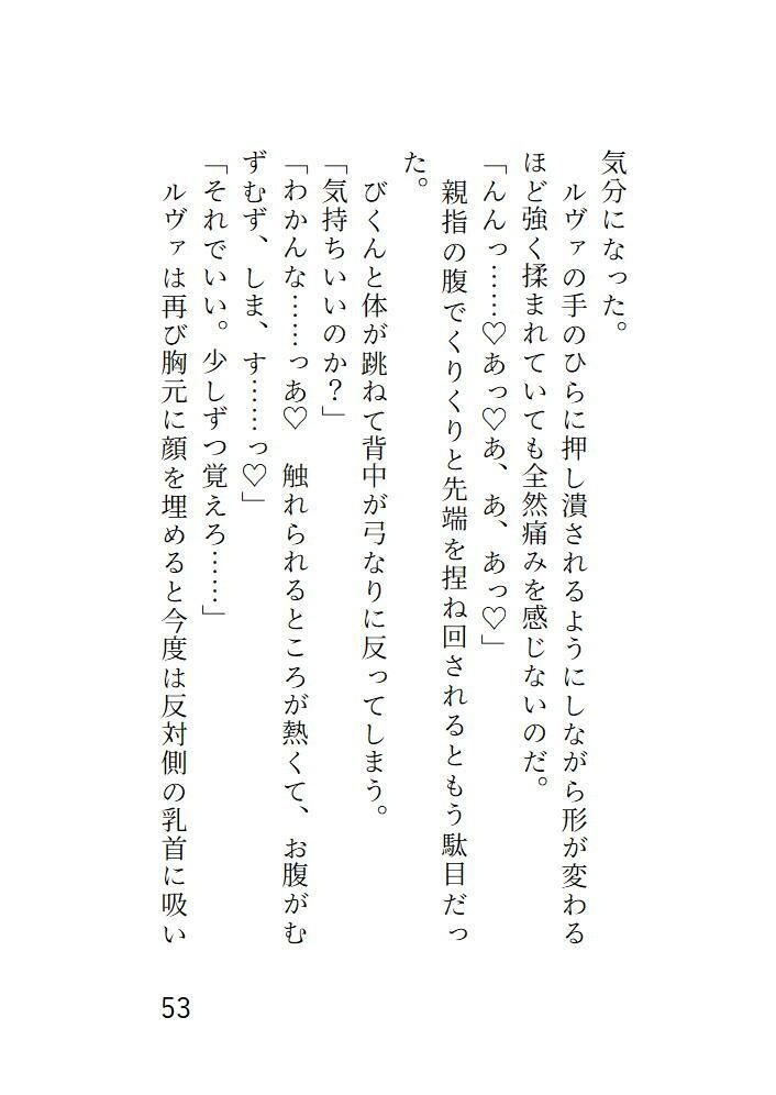 サンプル画像