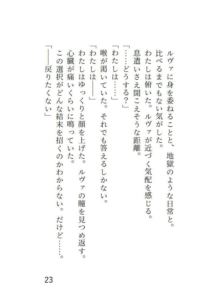 サンプル画像